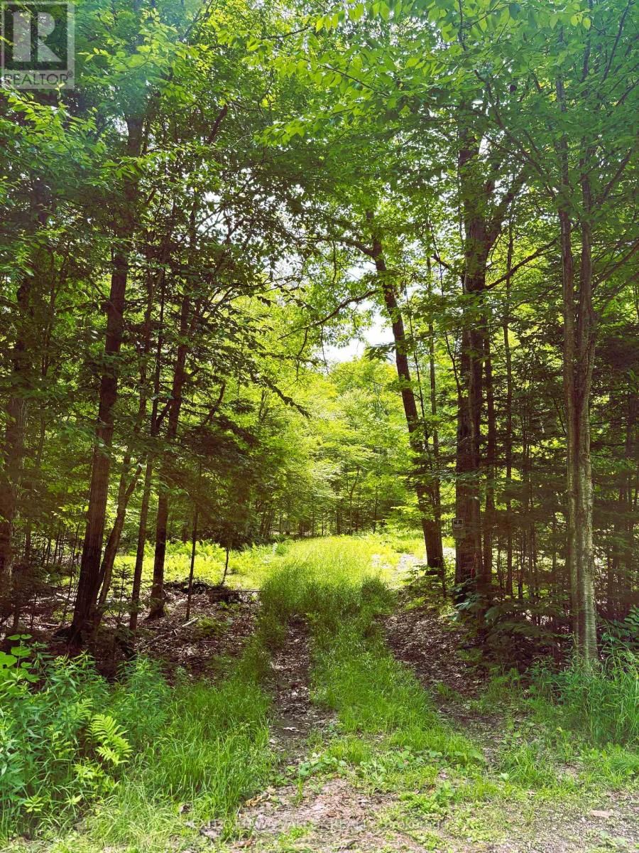 0 PEPLINSKIE ROAD Image 2