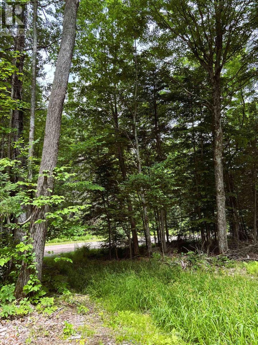 0 PEPLINSKIE ROAD Image 20