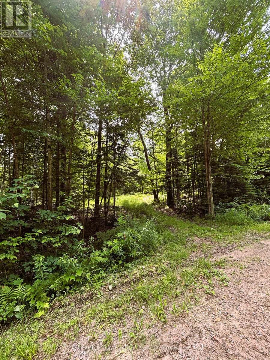 0 PEPLINSKIE ROAD Image 3