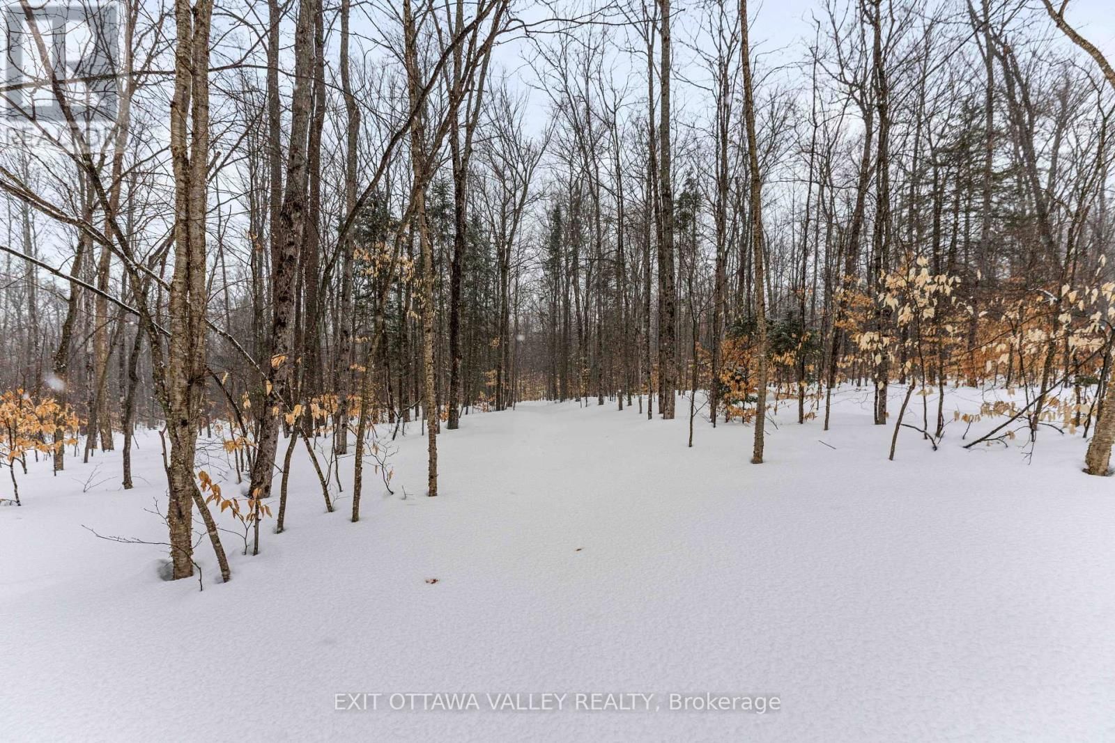 0 PEPLINSKIE ROAD Image 4