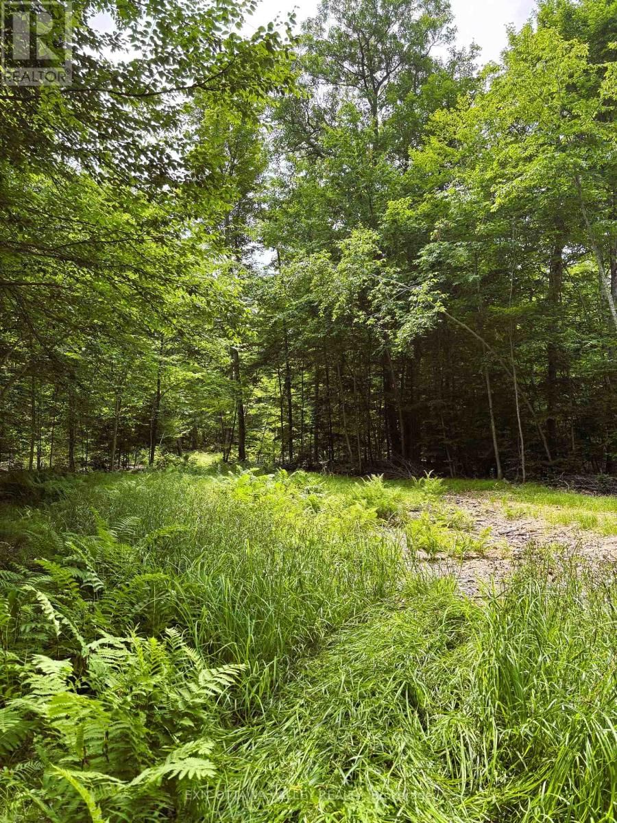 0 PEPLINSKIE ROAD Image 6