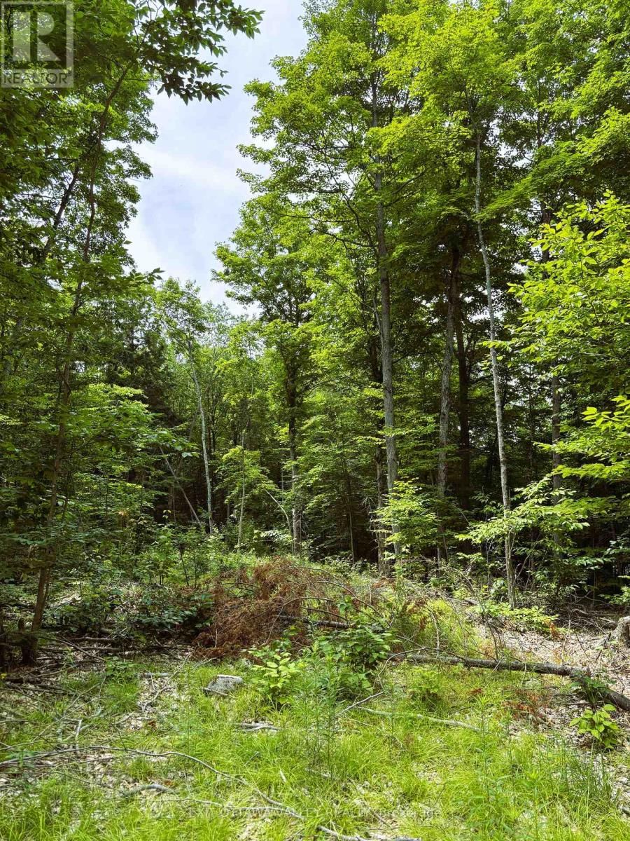 0 PEPLINSKIE ROAD Image 7