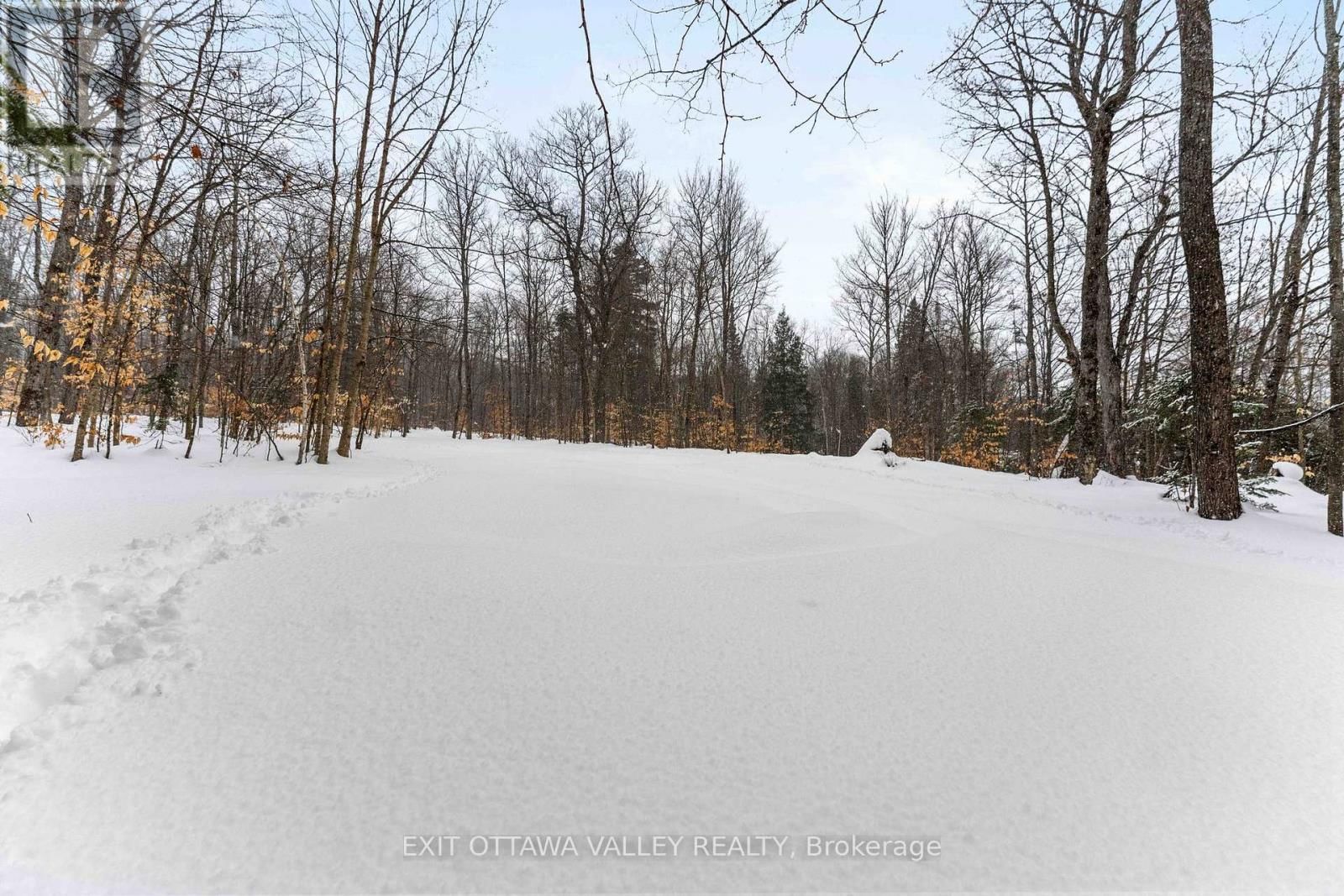 0 PEPLINSKIE ROAD Image 9