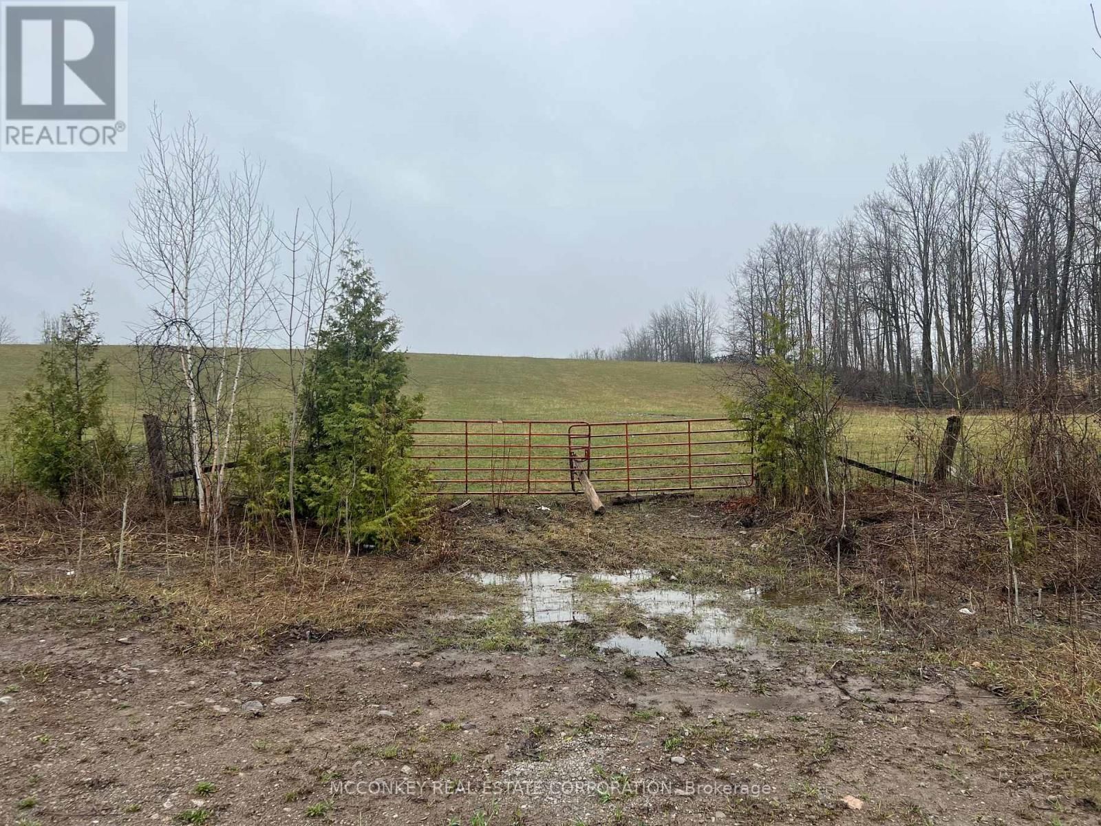 1020 CENTRE ROAD Image 1