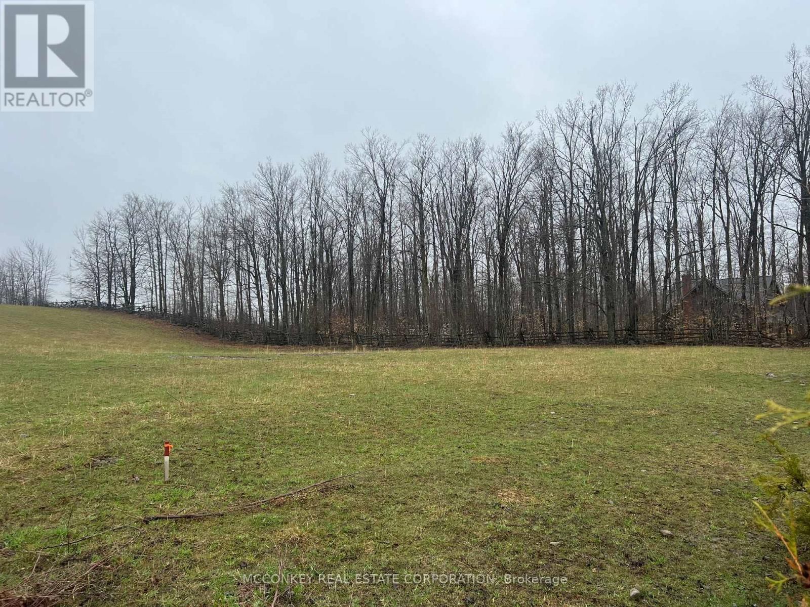 1020 CENTRE ROAD Image 4