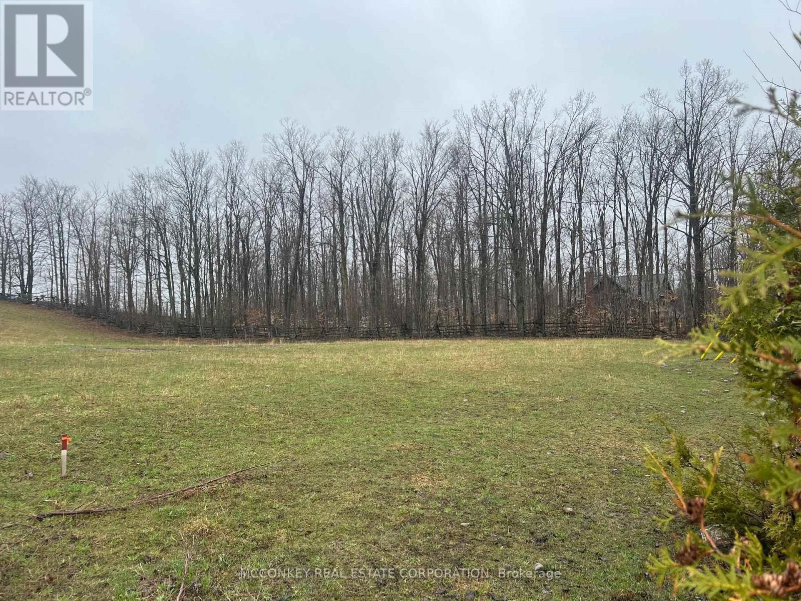 1020 CENTRE ROAD Image 5