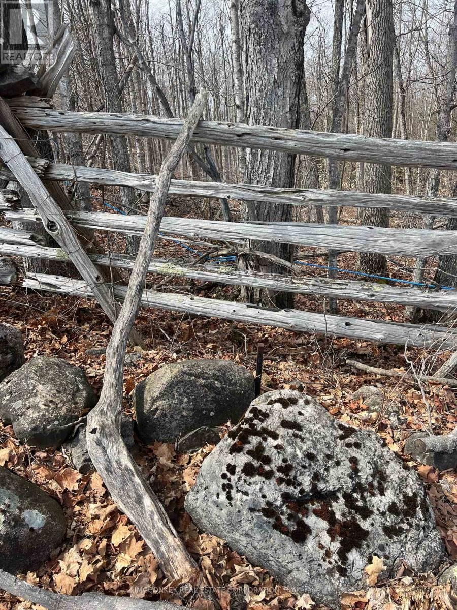 1020 CENTRE ROAD Image 7