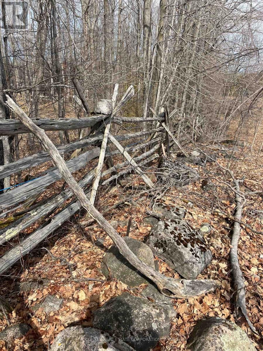 1020 CENTRE ROAD Image 8