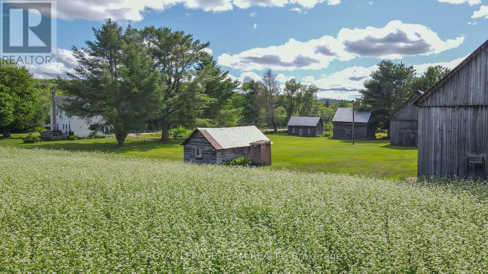 4822 PALMER ROAD Image 13