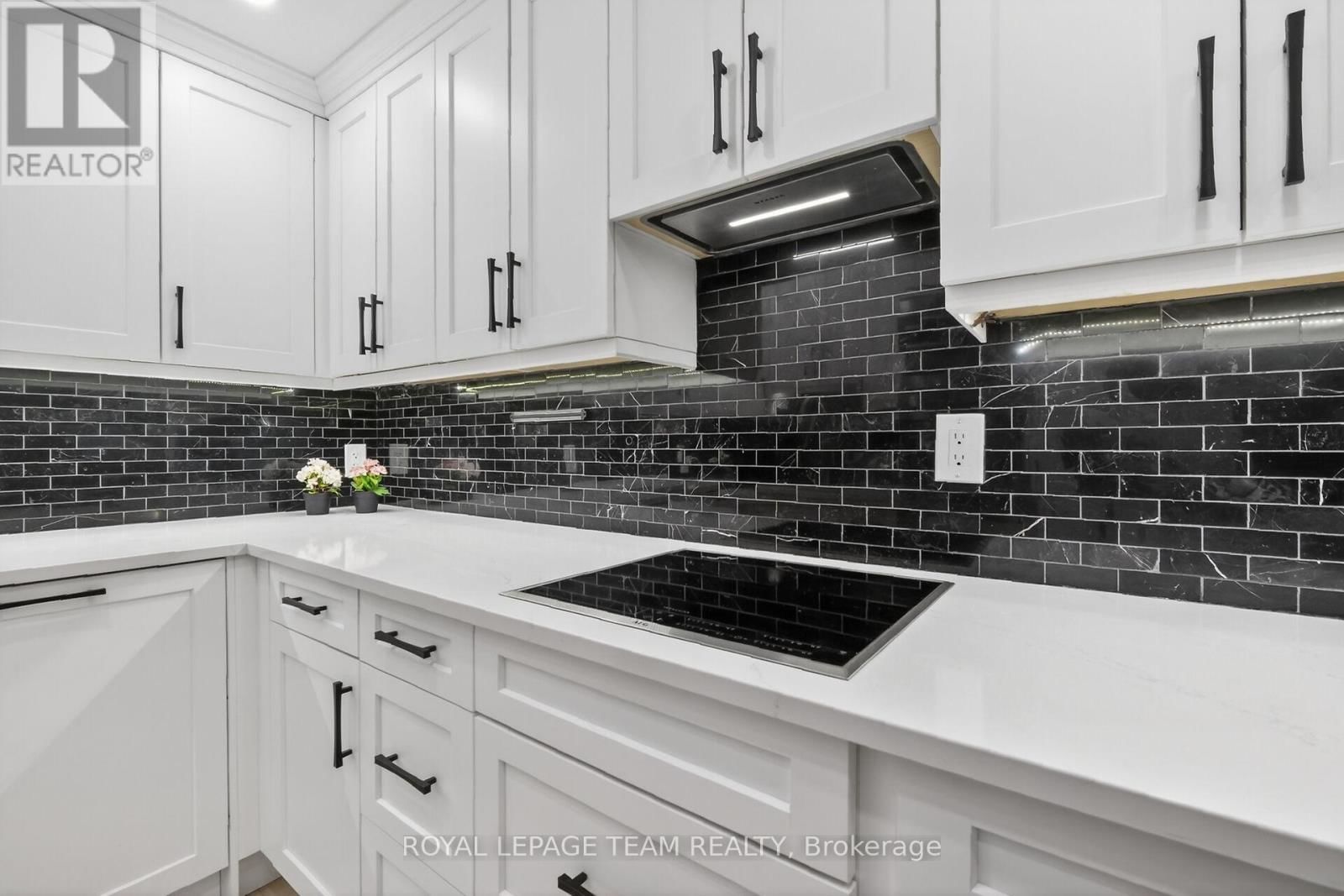 2012 - 515 ST LAURENT BOULEVARD Image 11