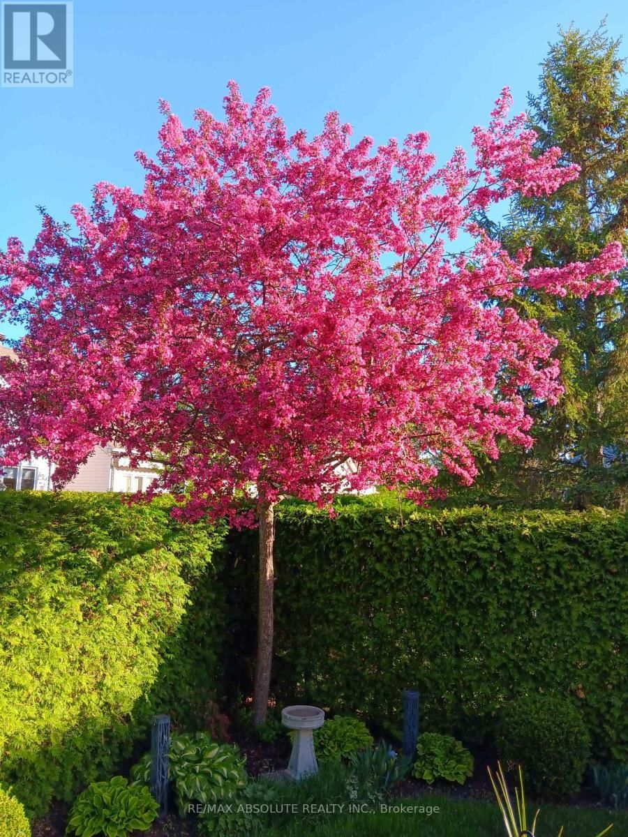 19 GOLDORA PRIVATE Image 35