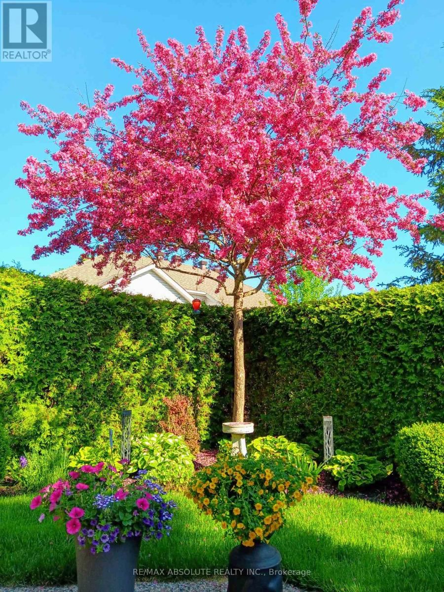 19 GOLDORA PRIVATE Image 36