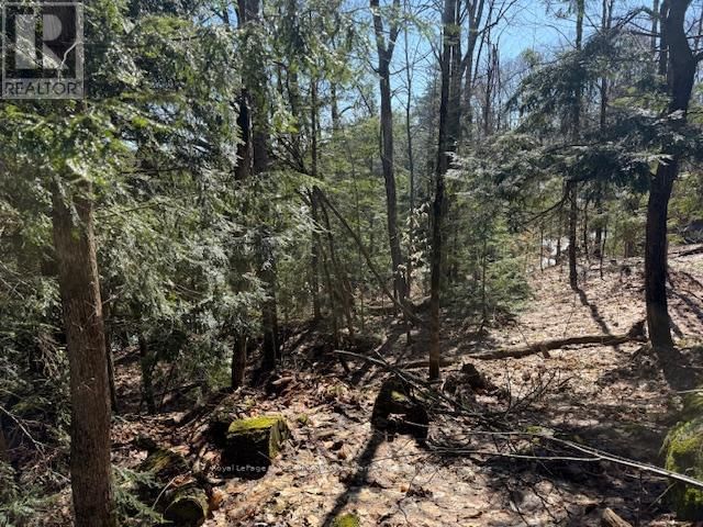 0 SOUTH CRANE LAKE ROAD Image 10