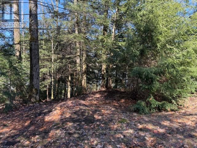 0 SOUTH CRANE LAKE ROAD Image 11