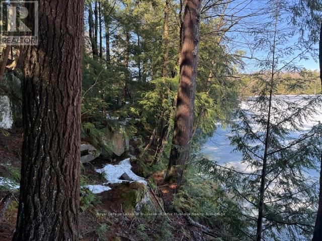 0 SOUTH CRANE LAKE ROAD Image 14