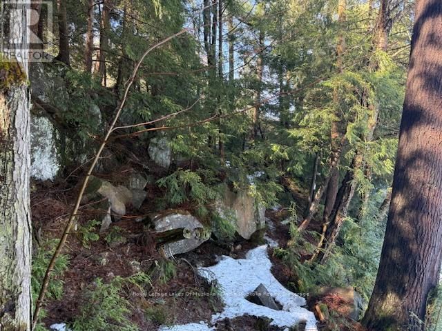 0 SOUTH CRANE LAKE ROAD Image 15