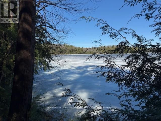 0 SOUTH CRANE LAKE ROAD Image 16