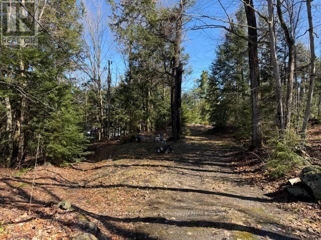 0 SOUTH CRANE LAKE ROAD Image 2