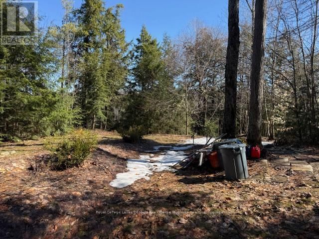 0 SOUTH CRANE LAKE ROAD Image 3