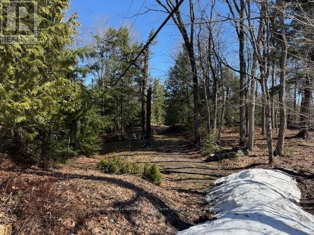 0 SOUTH CRANE LAKE ROAD Image 4