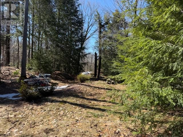 0 SOUTH CRANE LAKE ROAD Image 5