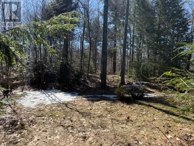 0 SOUTH CRANE LAKE ROAD Image 6