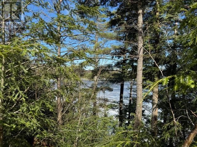 0 SOUTH CRANE LAKE ROAD Image 7