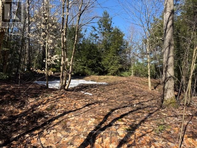 0 SOUTH CRANE LAKE ROAD Image 8