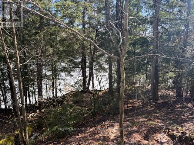 0 SOUTH CRANE LAKE ROAD Image 9