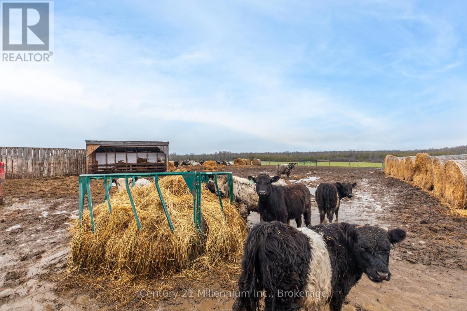 121097 12 SIDEROAD Image 15