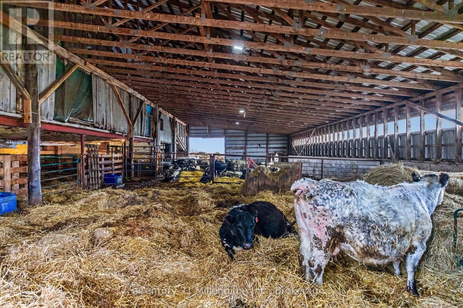 121097 12 SIDEROAD Image 16