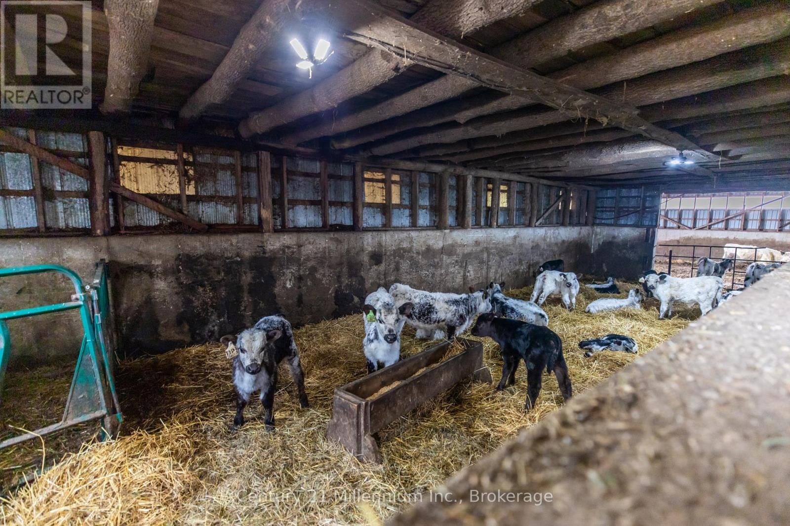 121097 12 SIDEROAD Image 17