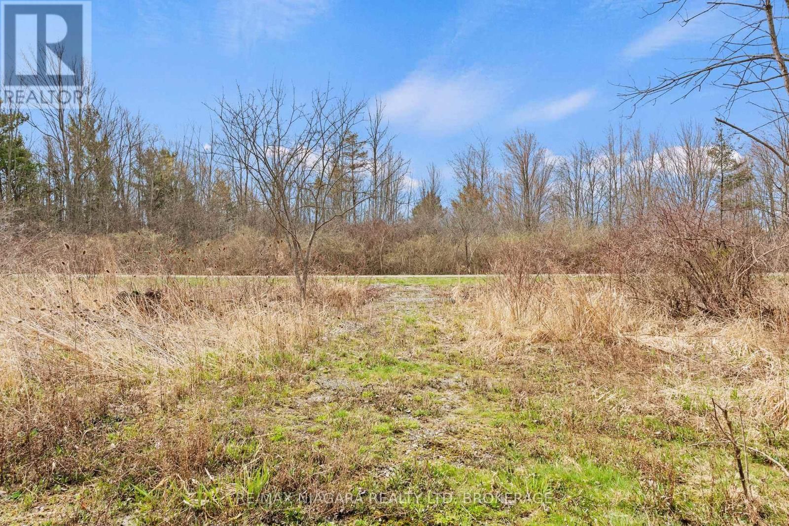 1887 DOMINION ROAD Image 45