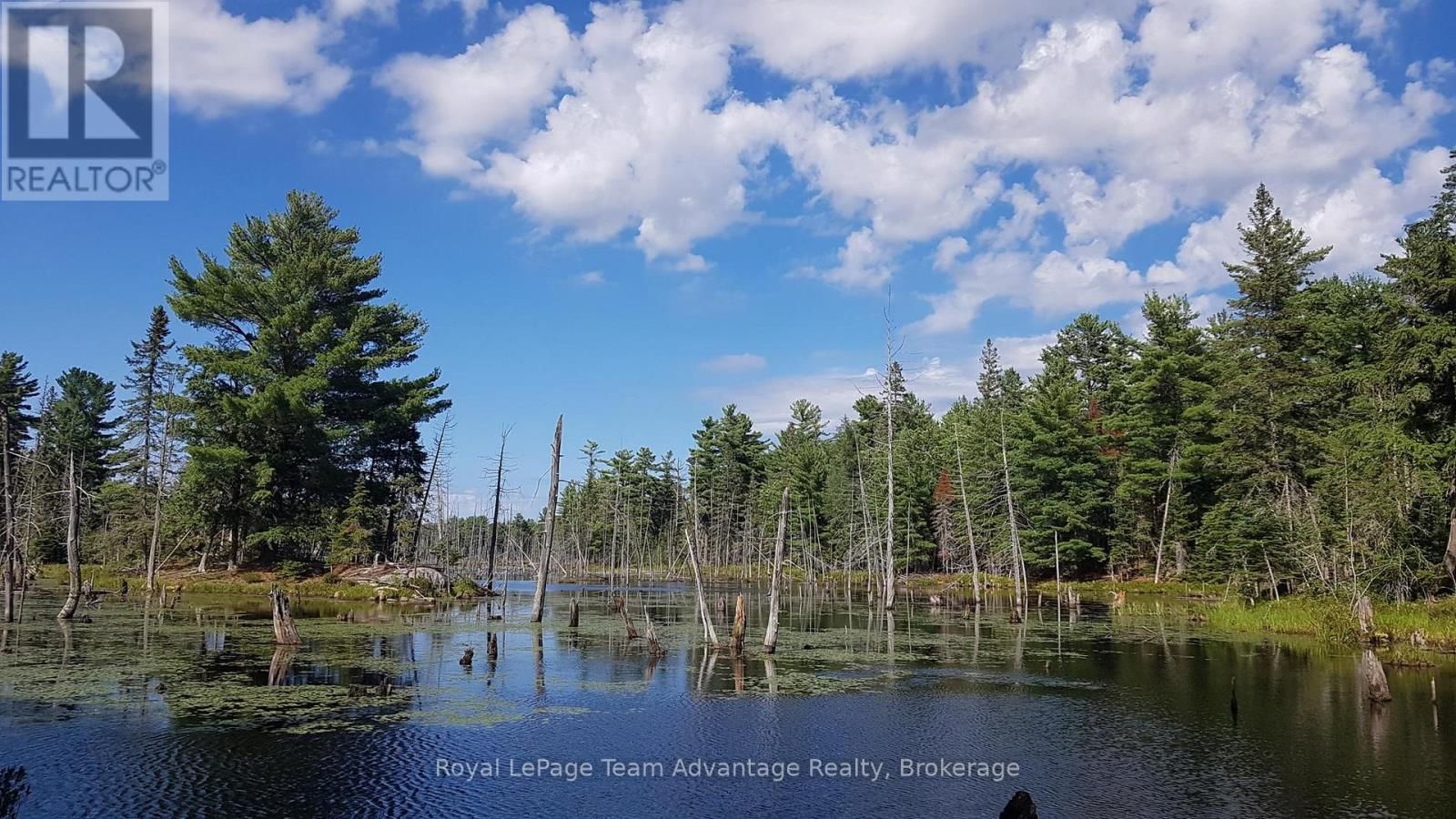 0 UNOPENED ROAD ALLOWANCE ROAD Image 1