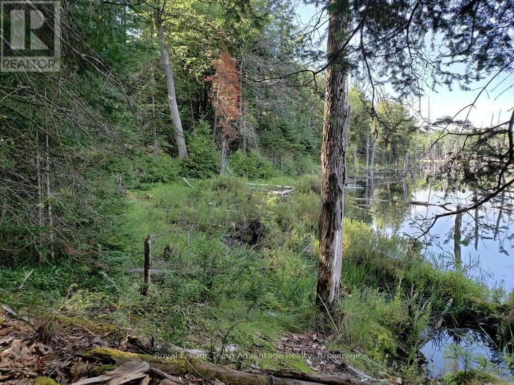 0 UNOPENED ROAD ALLOWANCE ROAD Image 10