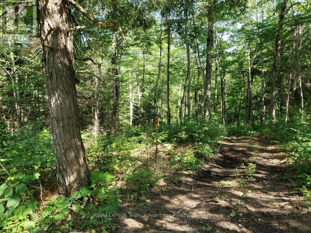 0 UNOPENED ROAD ALLOWANCE ROAD Image 11