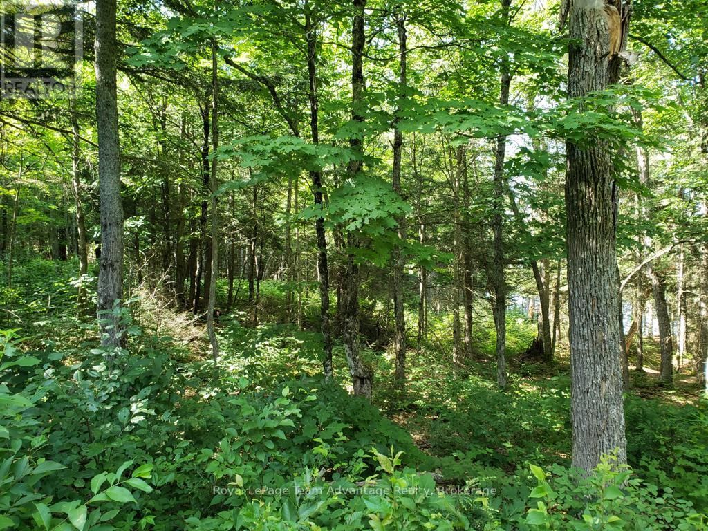 0 UNOPENED ROAD ALLOWANCE ROAD Image 12