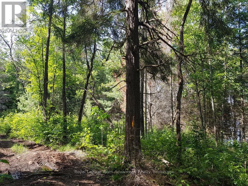 0 UNOPENED ROAD ALLOWANCE ROAD Image 13