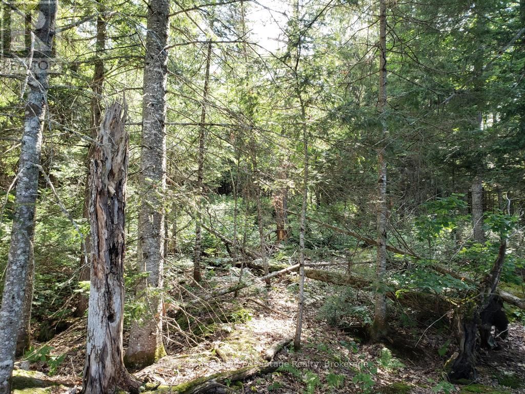 0 UNOPENED ROAD ALLOWANCE ROAD Image 14