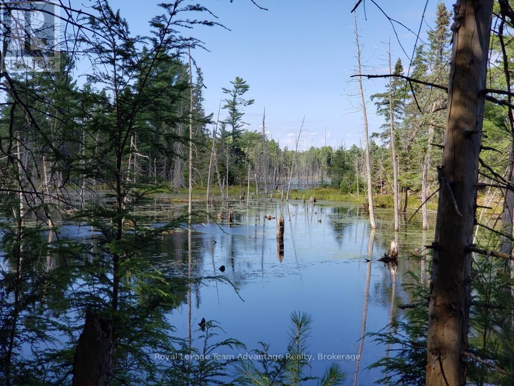 0 UNOPENED ROAD ALLOWANCE ROAD Image 15