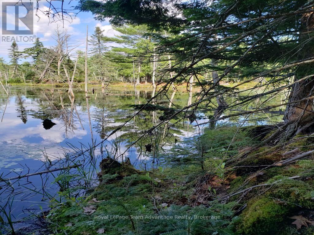 0 UNOPENED ROAD ALLOWANCE ROAD Image 16