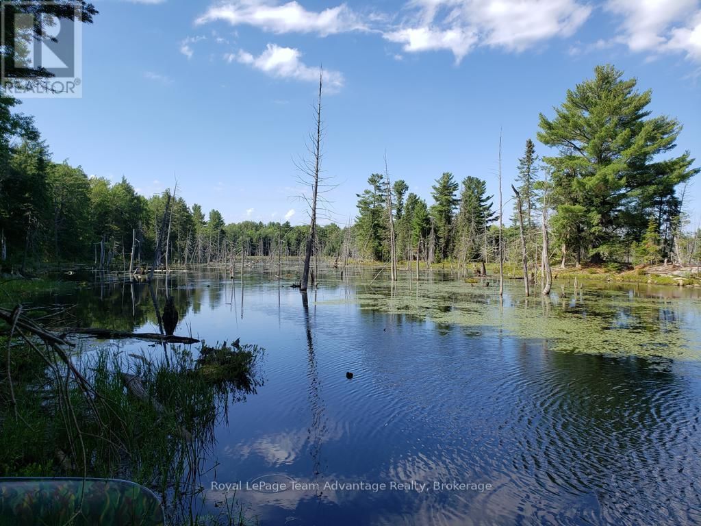 0 UNOPENED ROAD ALLOWANCE ROAD Image 18