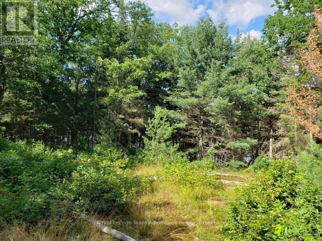 0 UNOPENED ROAD ALLOWANCE ROAD Image 3