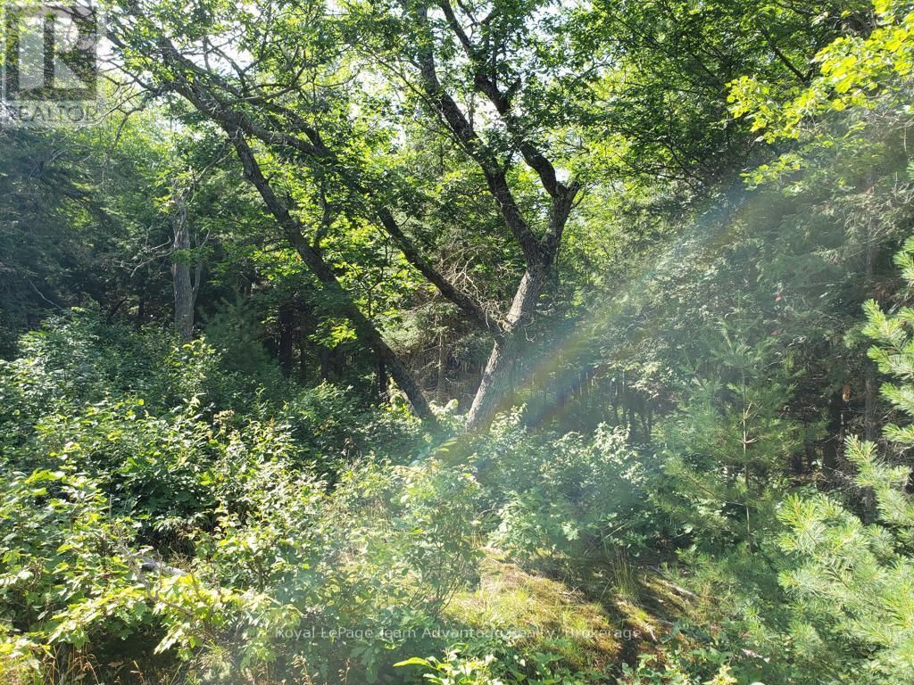 0 UNOPENED ROAD ALLOWANCE ROAD Image 5