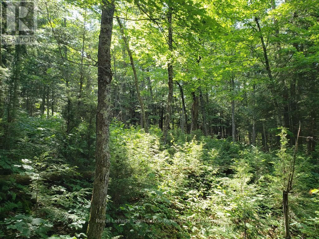 0 UNOPENED ROAD ALLOWANCE ROAD Image 7