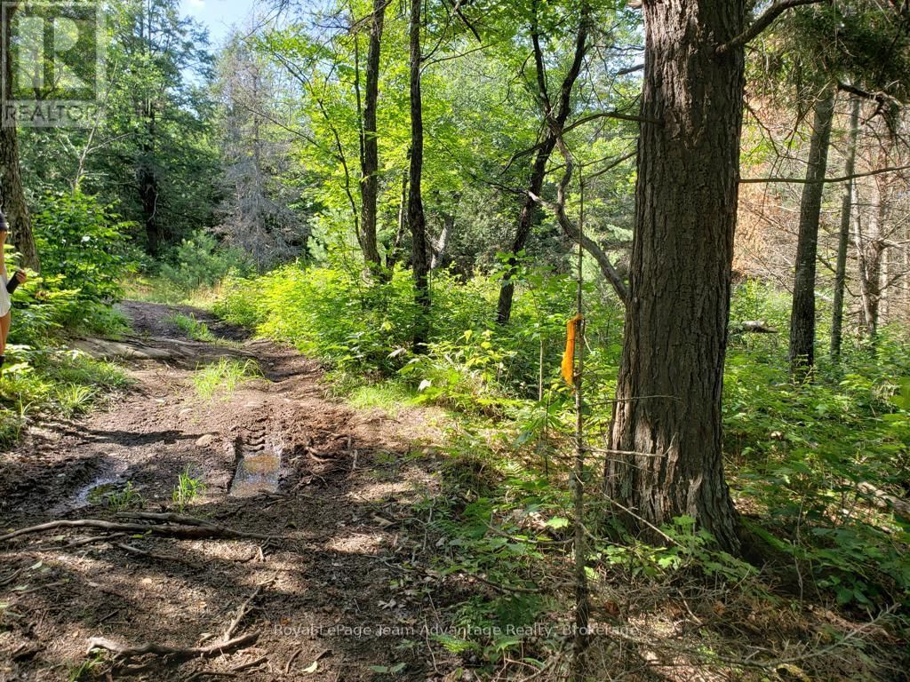 0 UNOPENED ROAD ALLOWANCE ROAD Image 8