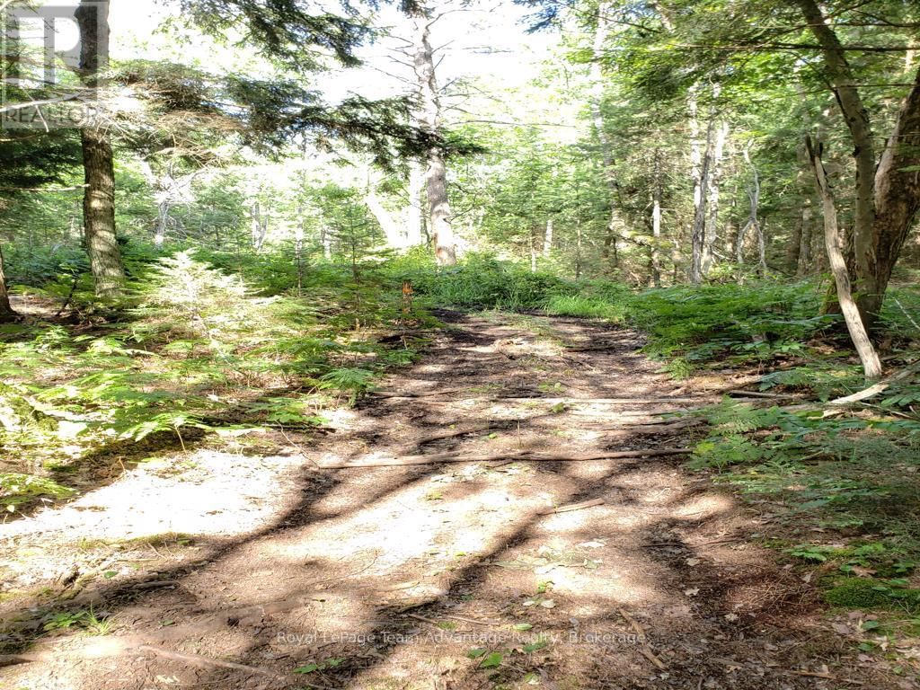 0 UNOPENED ROAD ALLOWANCE ROAD Image 9