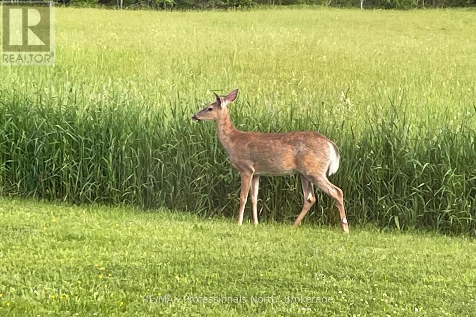 475 HOODSTOWN ROAD SOUTH Image 34