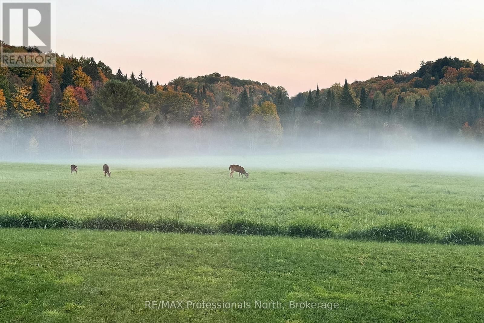 475 HOODSTOWN ROAD SOUTH Image 47