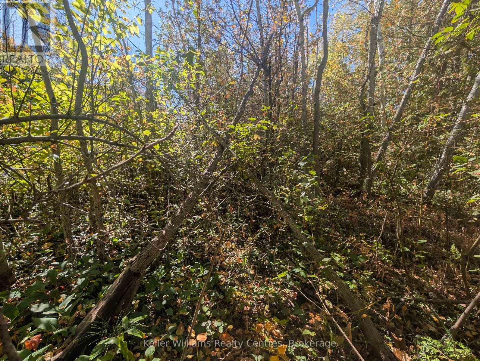 LT 166 MALLORY BEACH ROAD Image 10